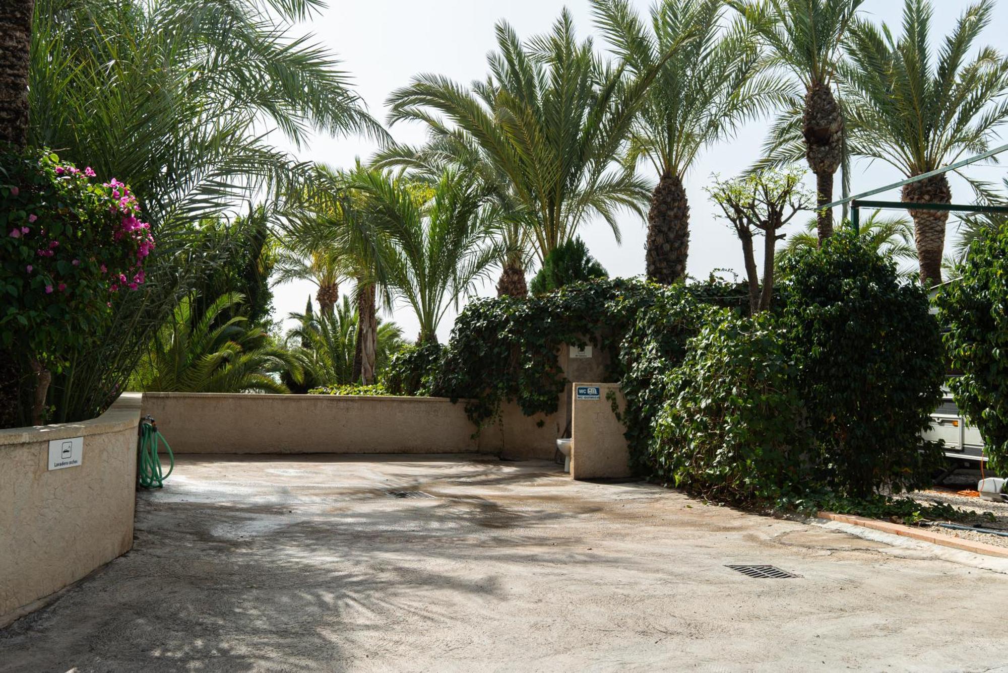 Camping Las Palmeras Crevillente Exterior photo