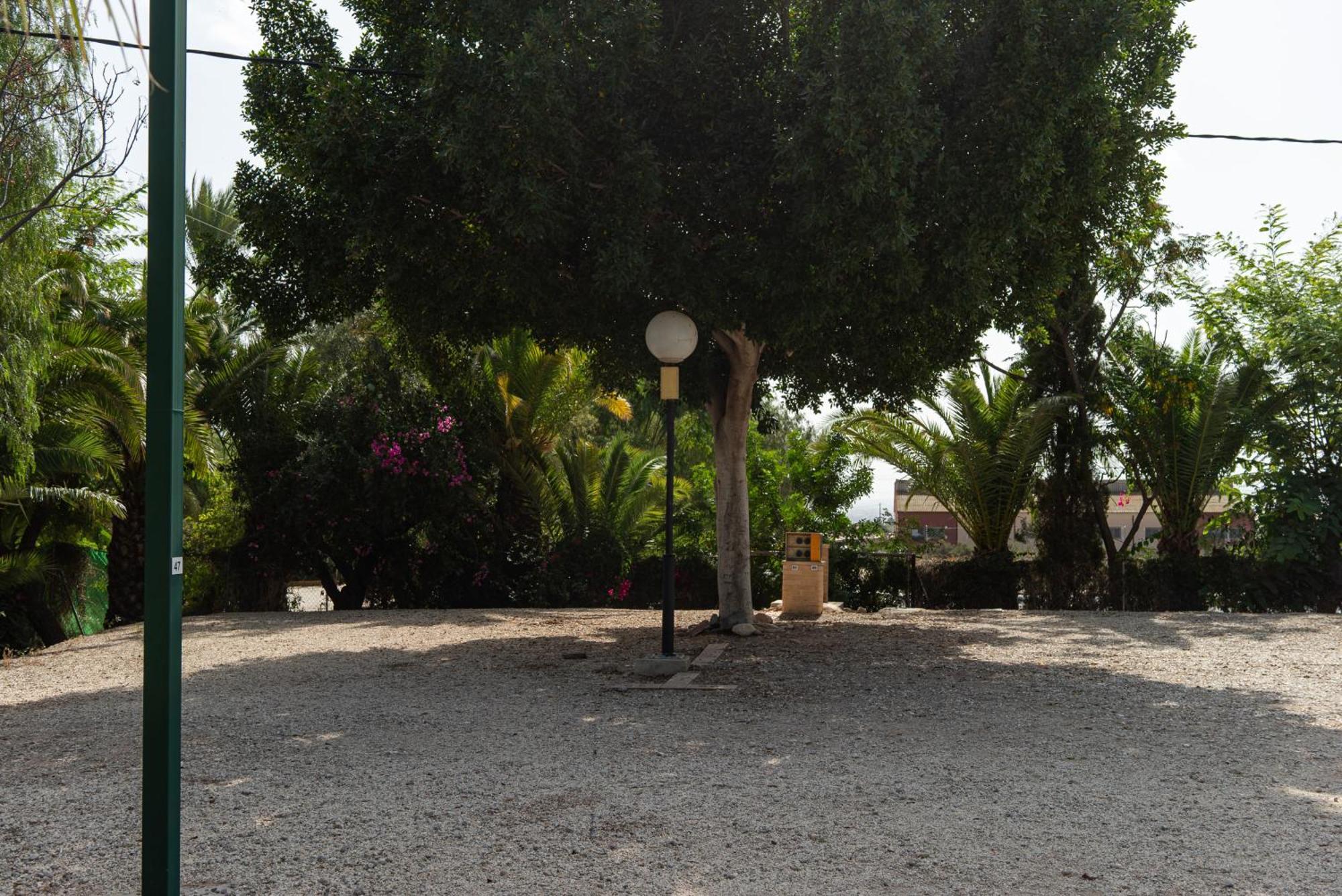 Camping Las Palmeras Crevillente Exterior photo