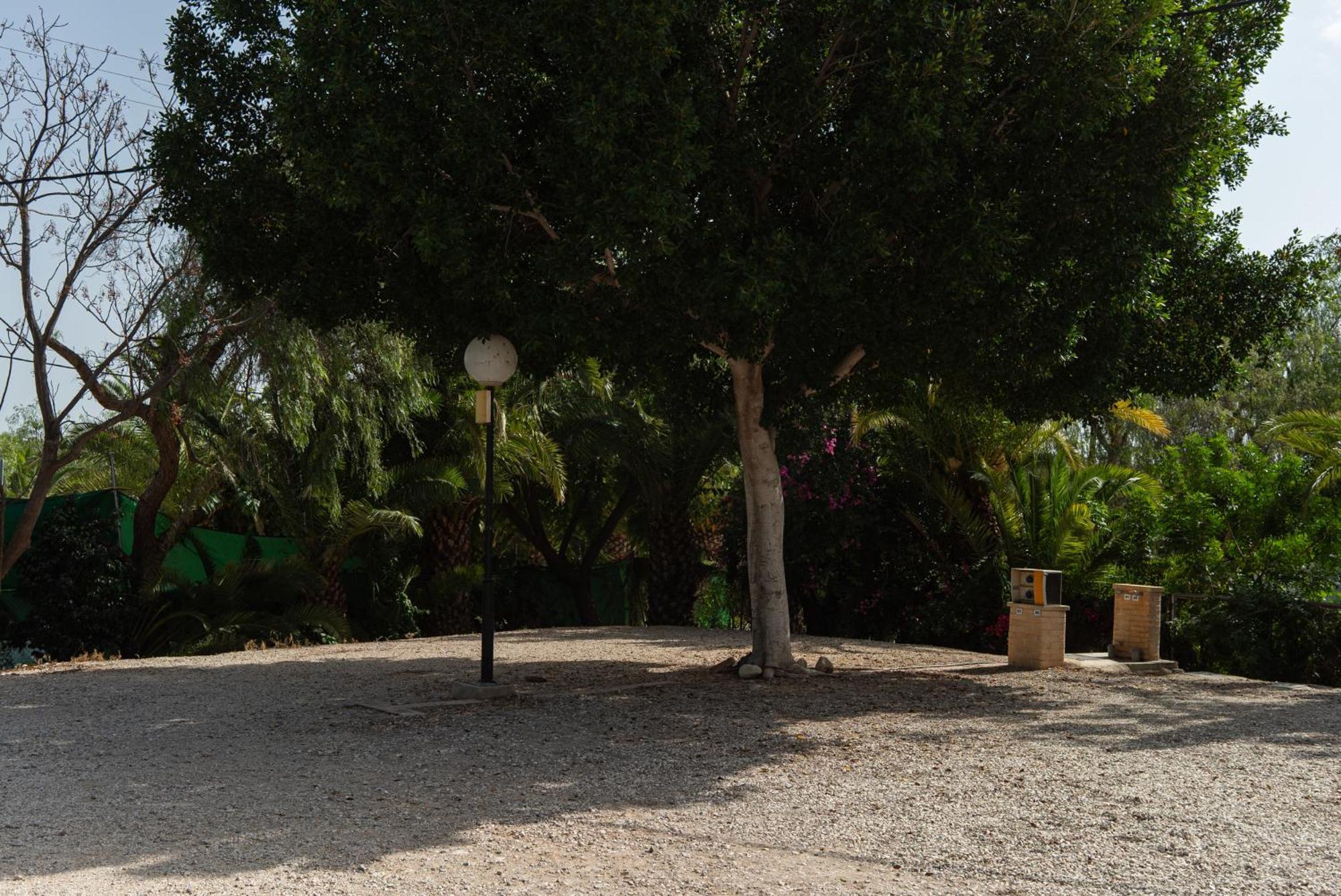 Camping Las Palmeras Crevillente Exterior photo